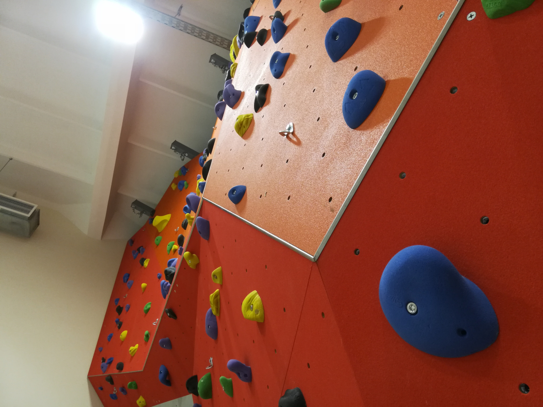 Climbing wall Aztec for liceum "Technopolis"